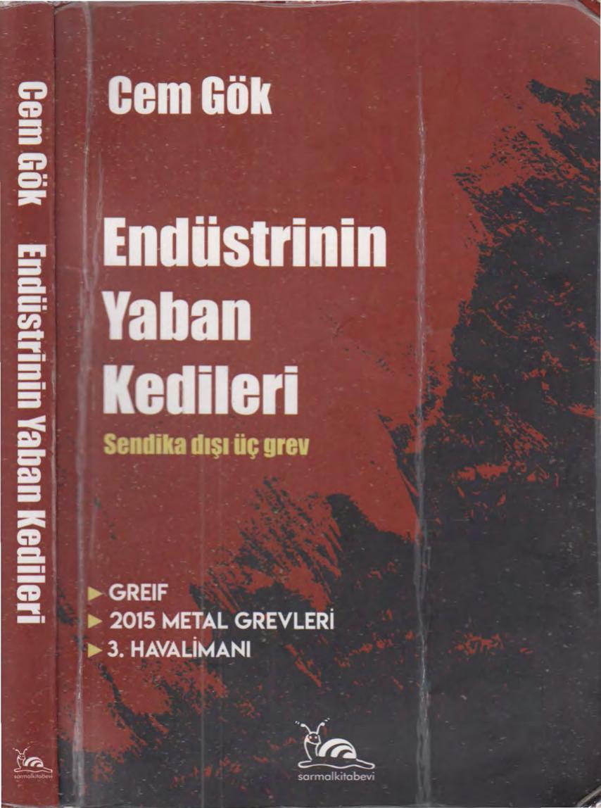 Endüstrinin Yaban Kedileri - Cem Gök