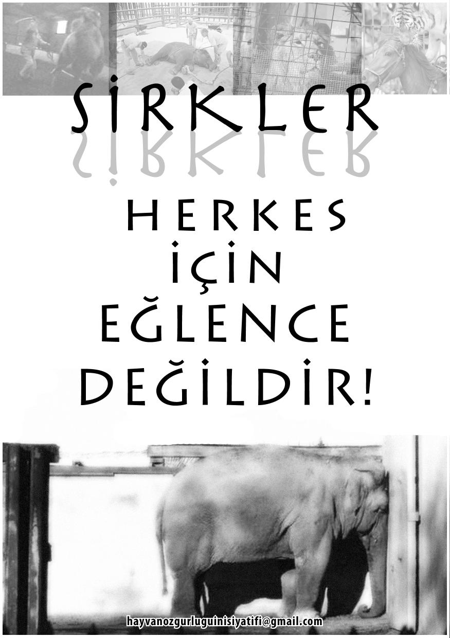 Sirkler Herkes İçin Eğlence Değildir - Hayvan Özgürlüğü İnisiyatifi