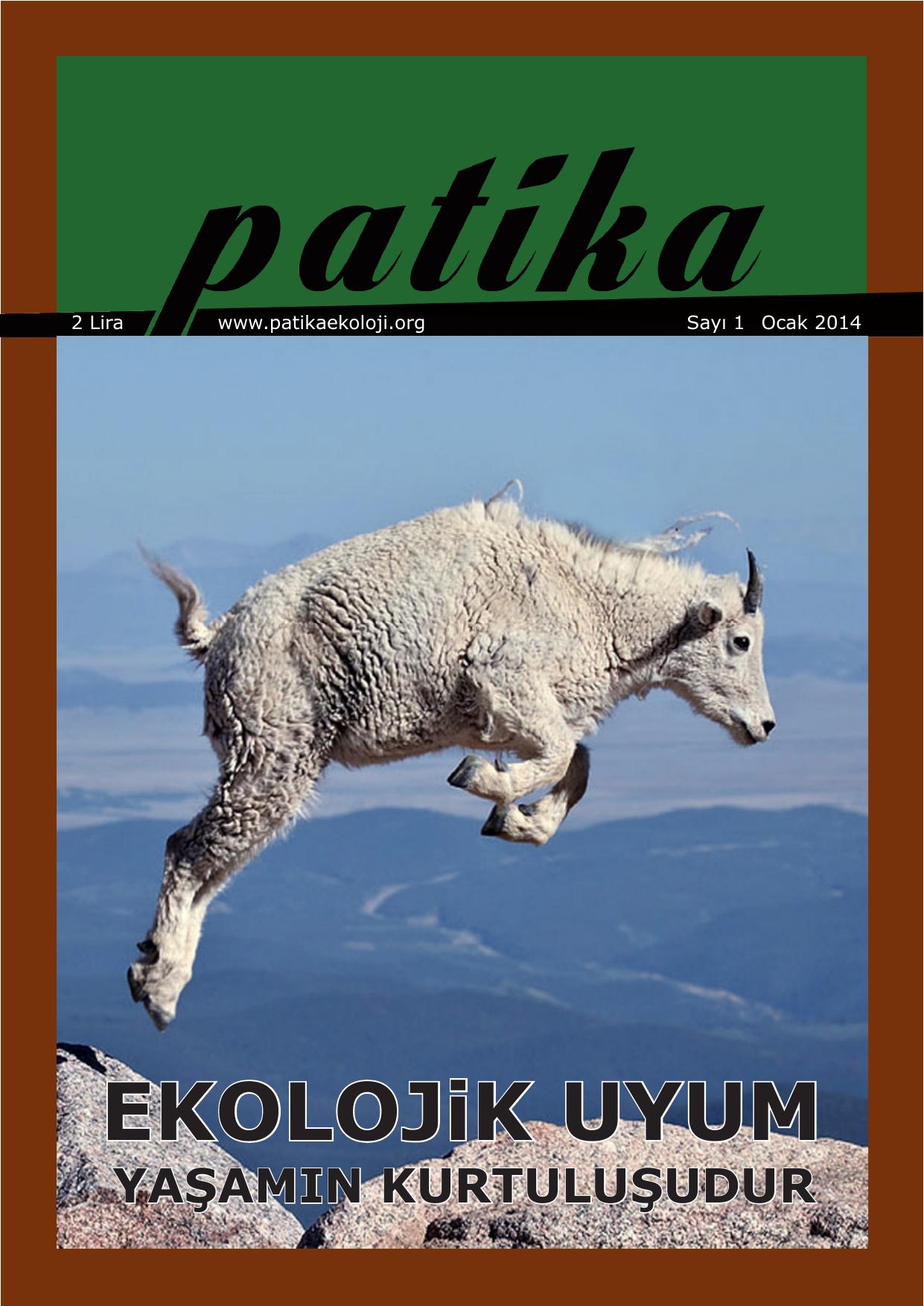 1. Sayı - Patika Dergisi